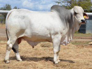 169 HAZELTON HASTINGS 5775 (H)