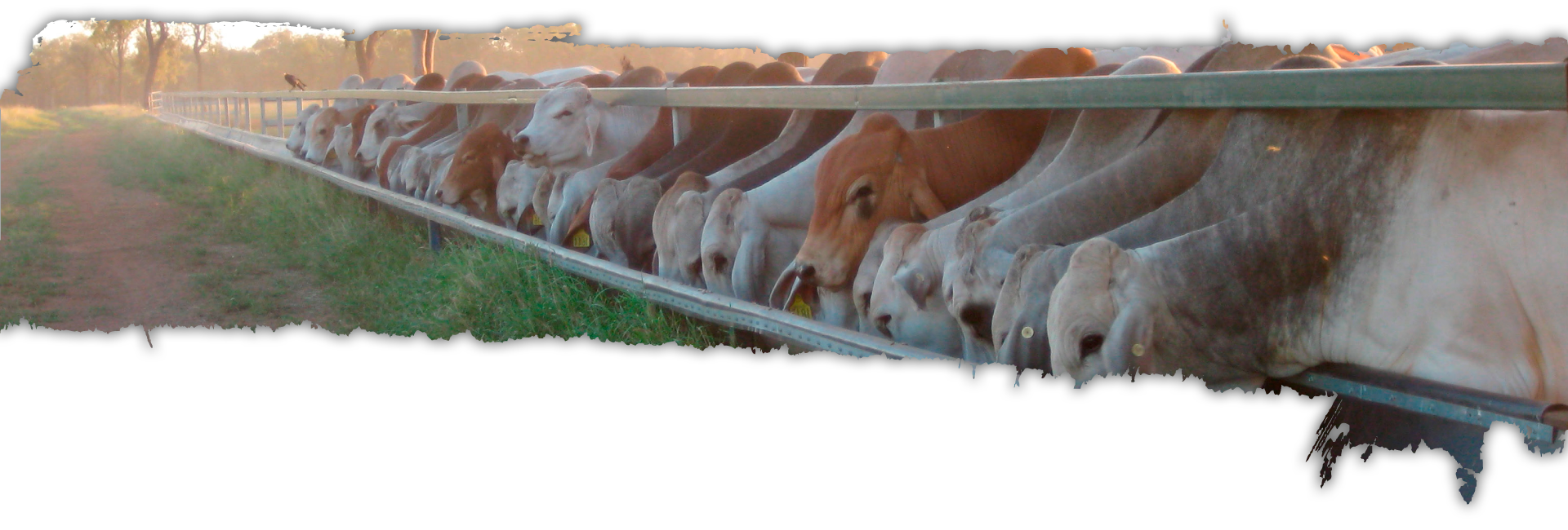 banner_2_1920x650_@1x