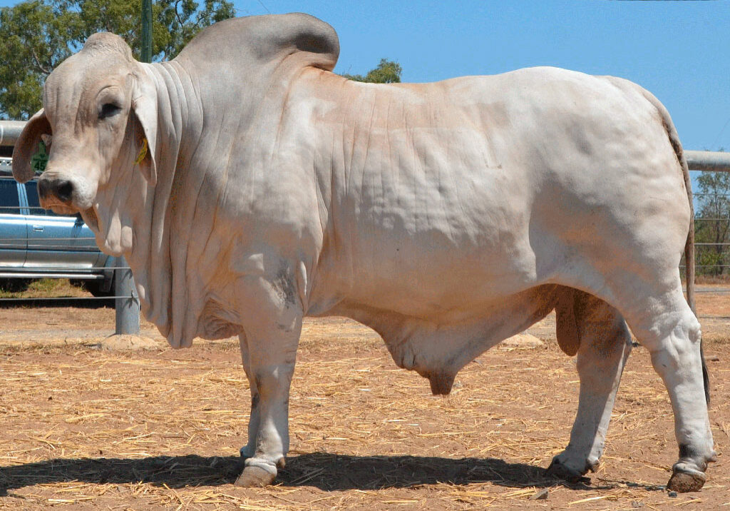 HAZELTON-ANCHORMAN-4372