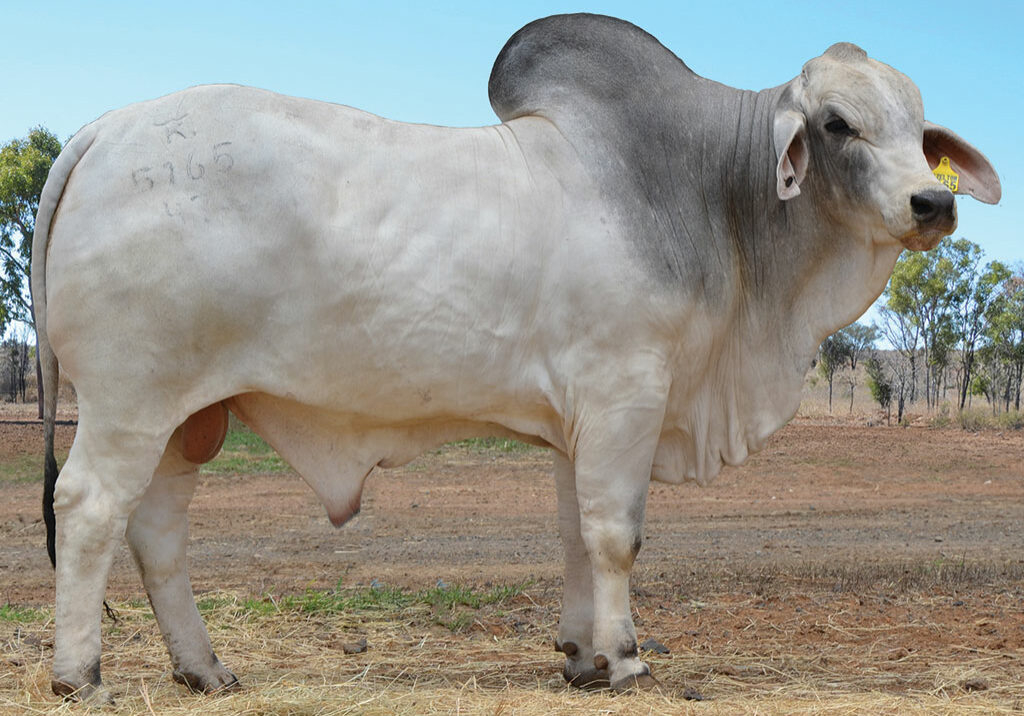 LOT-25-Hazelton-5165