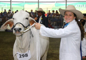 hazelton-b-tara hazelton-b-tara